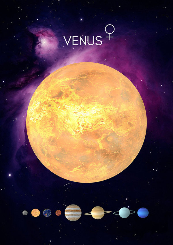 Die Venus - Sammelkarte DIN A5 (14,8 x 21,0 cm) hoch